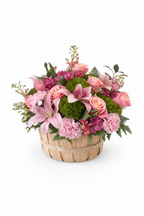 Best Seller - Seasonal Designers Choice