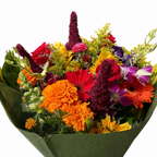 Best Seller - Seasonal Designers Choice