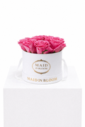 Classic Bloom Box