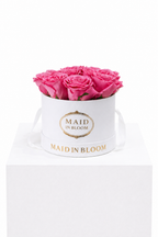 Classic Bloom Box