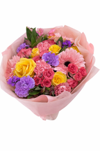 Best Seller - Seasonal Designers Choice