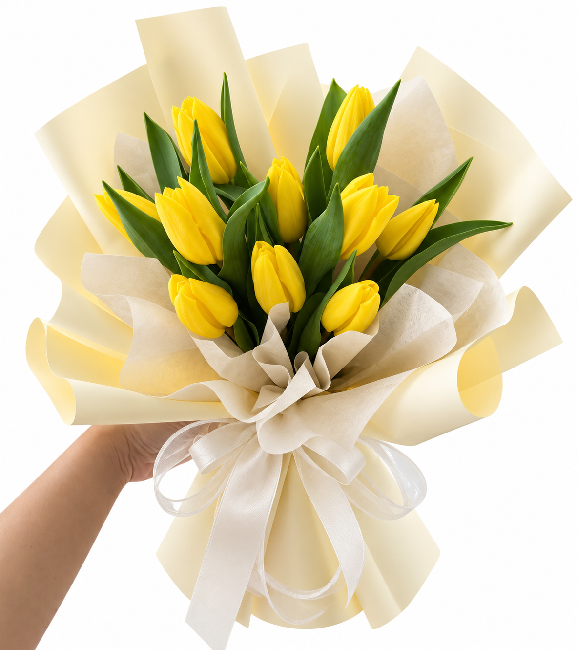 Yellow tulips