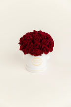 Timeless Small Dome | Preserved Roses