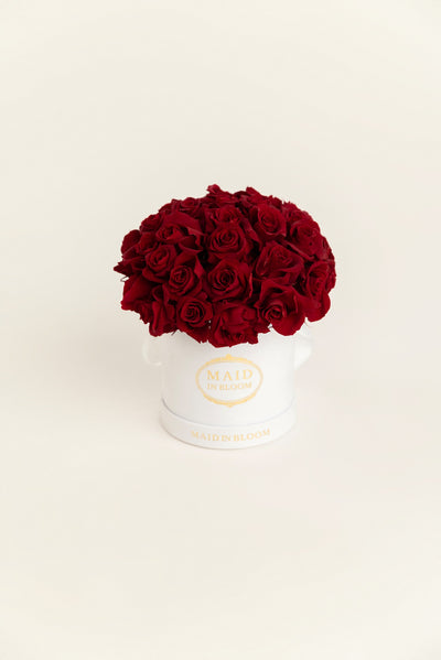 Timeless Small Dome | Preserved Roses